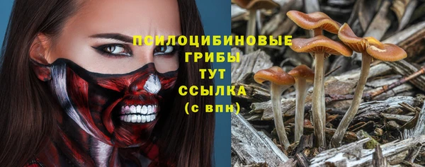 стафф Волоколамск