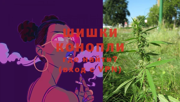 СК Мегион