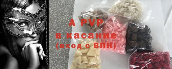 стафф Волоколамск